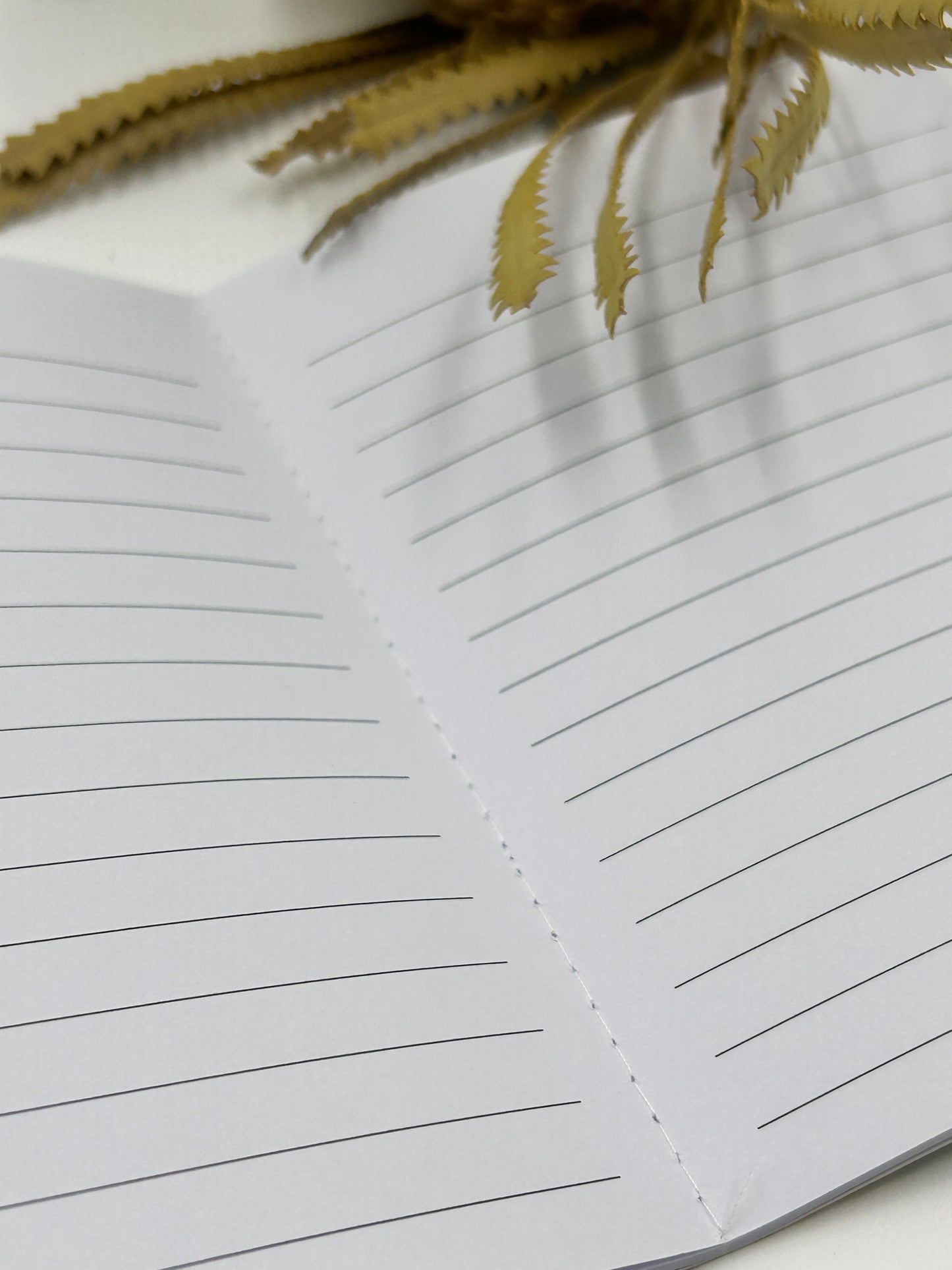 A6 Australian Notebooks