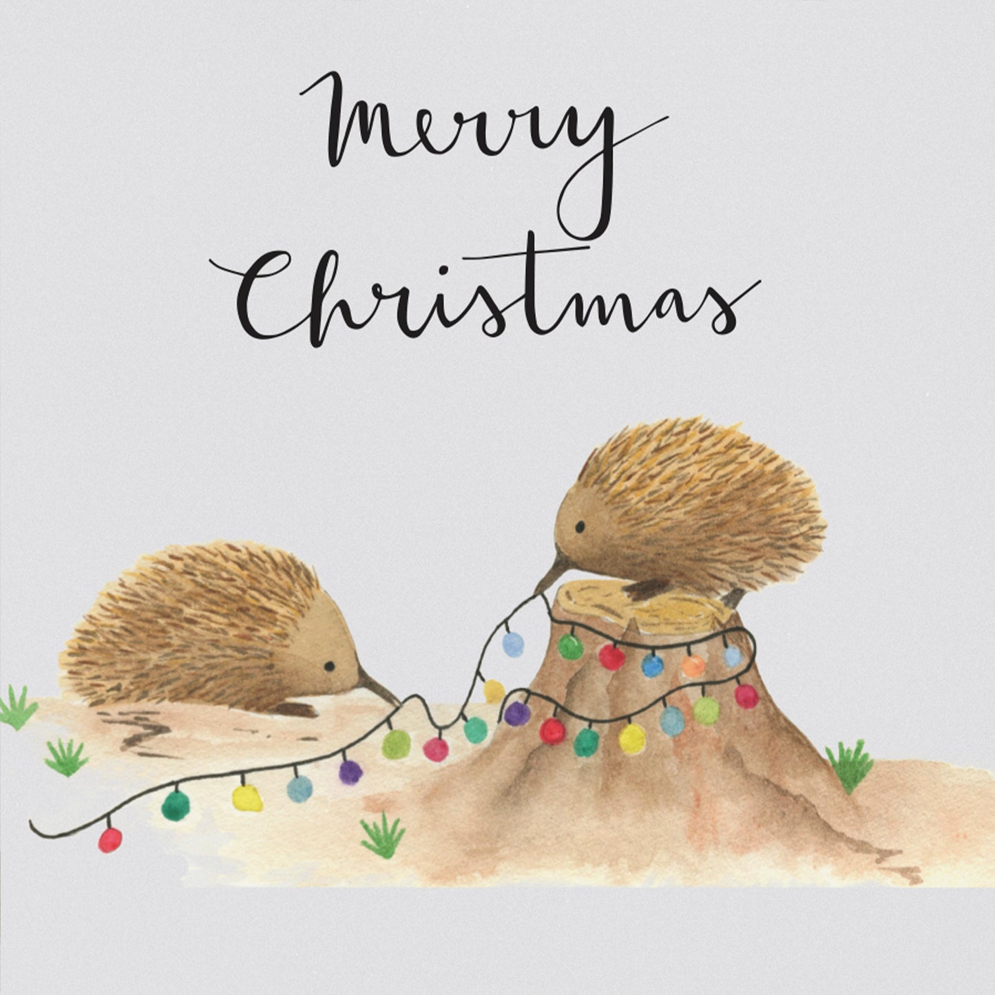 Watercolour Christmas Card - Echidnas