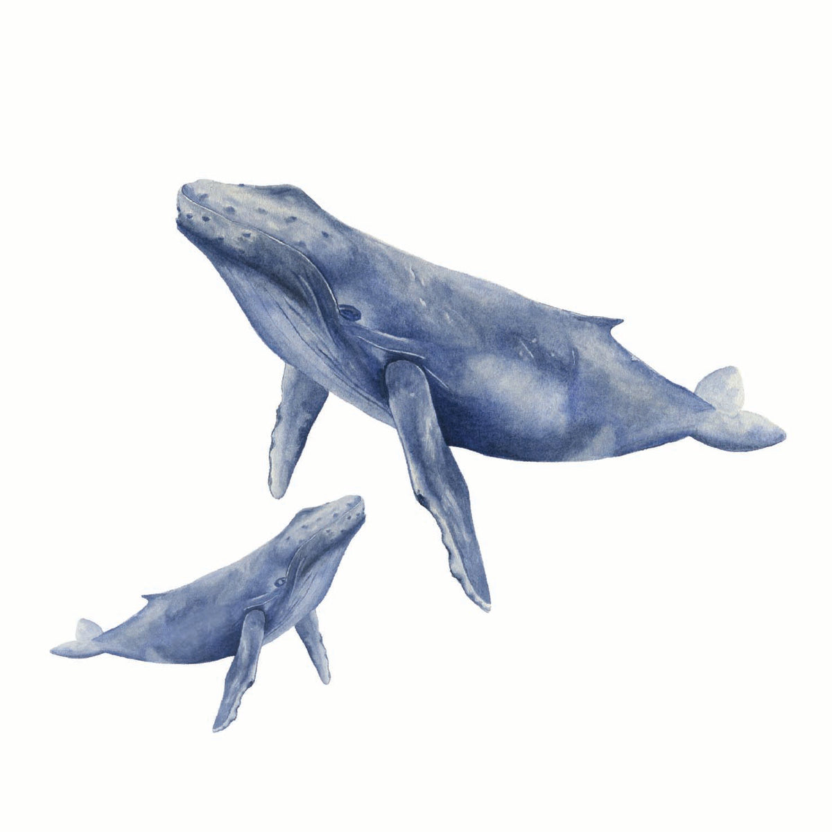 Watercolour Greeting Card - Whales