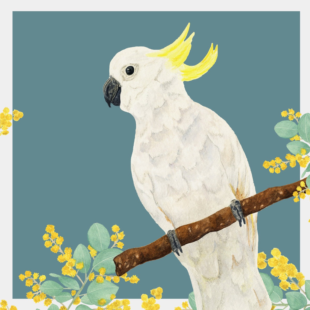 Watercolour Greeting Card - Cockatoo