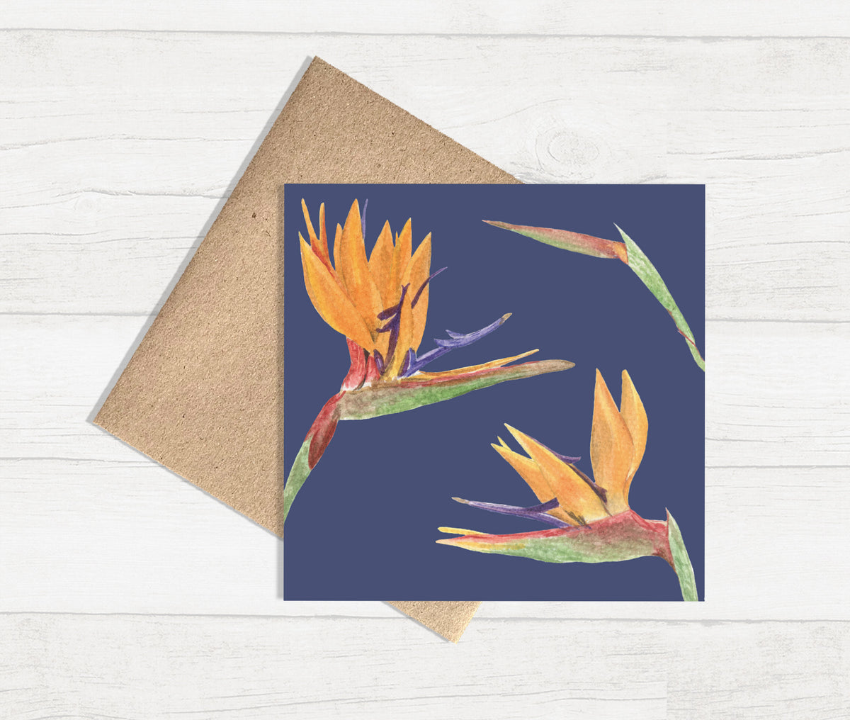 Watercolour Greeting Card - Birds of Paradise
