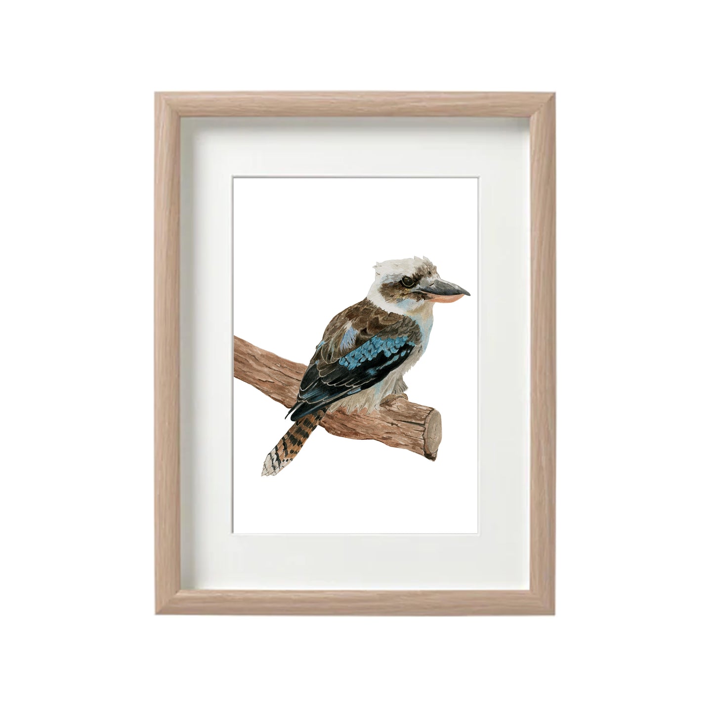 Kookaburra Watercolour Print